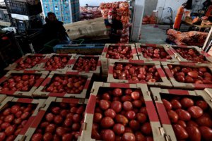 美國(guó)對(duì)墨西哥新鮮番茄征收17%關(guān)稅