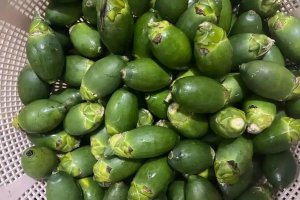 與砒霜同級的致癌物