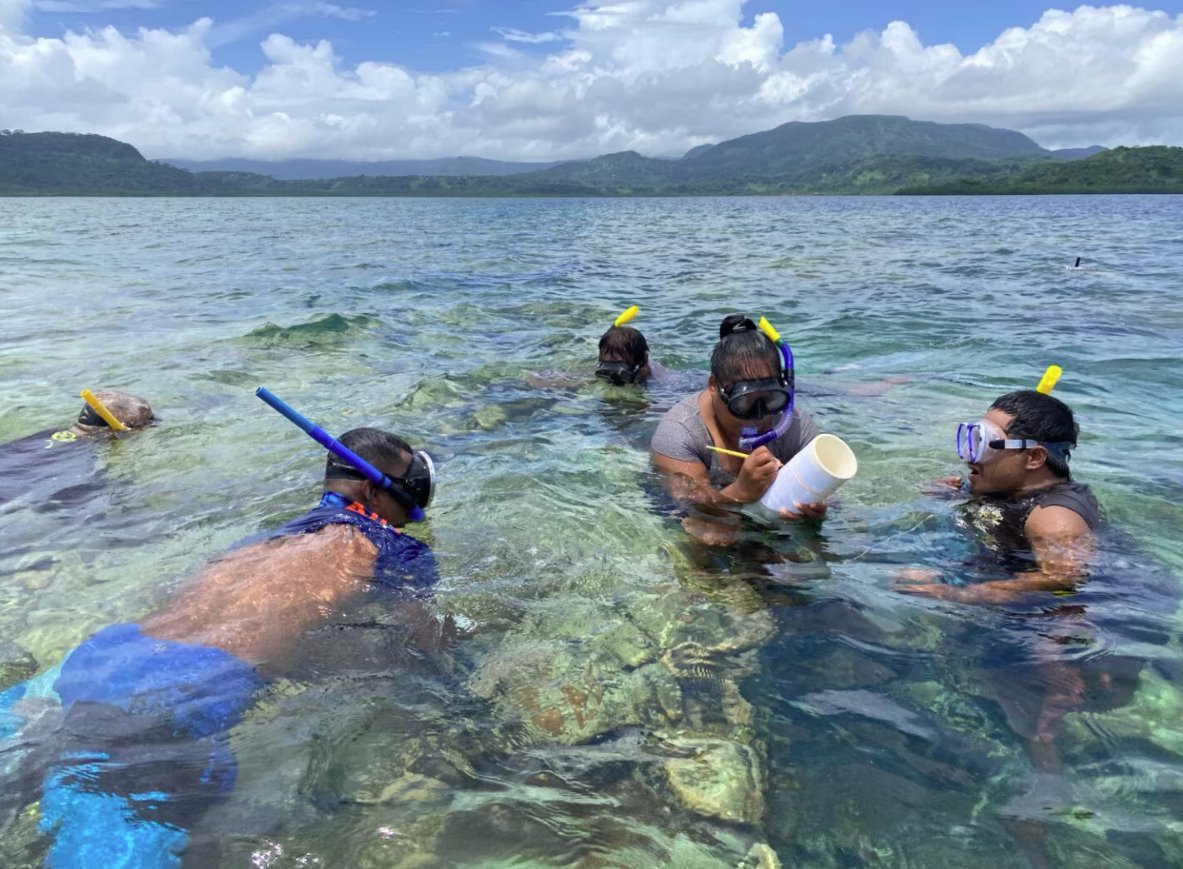 監(jiān)測密克羅尼西亞聯(lián)邦自然生態(tài)系統(tǒng)的恢復情況