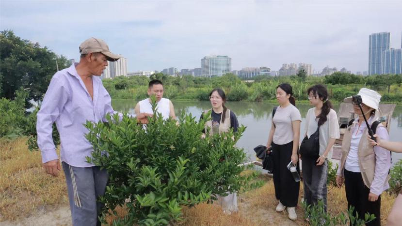 浙江萬(wàn)里學(xué)院暑期社會(huì)實(shí)踐活動(dòng)