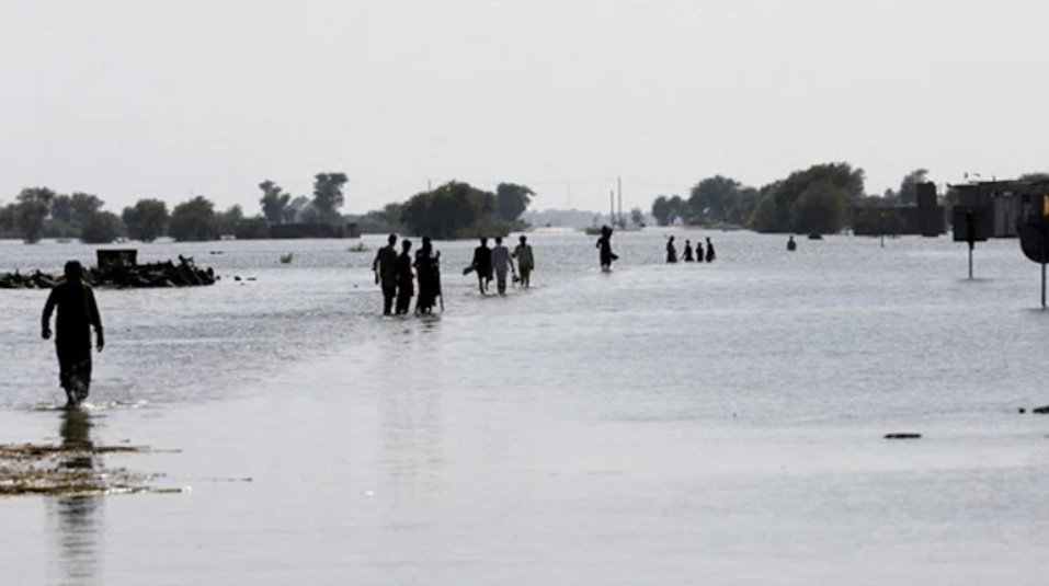 自6月底季風來襲以來，巴基斯坦各地洪水已造成785人死亡。