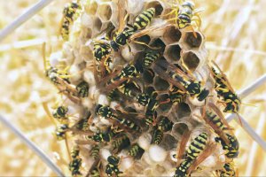 云南牟定縣2名兒童被