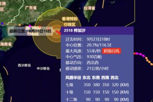 樺加沙強度接近地球上限