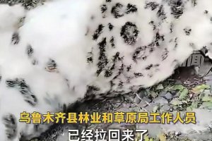 烏魯木齊天山后峽發